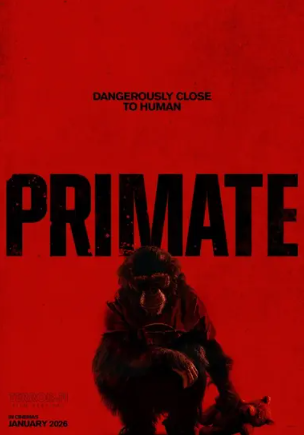 Primate